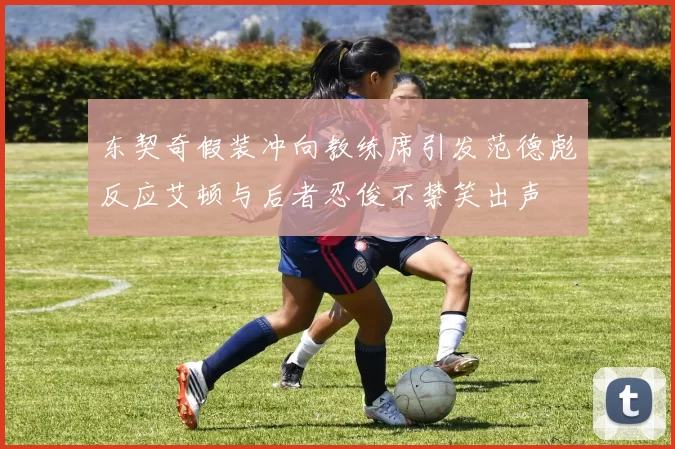 东契奇假装冲向教练席引发范德彪反应艾顿与后者忍俊不禁笑出声